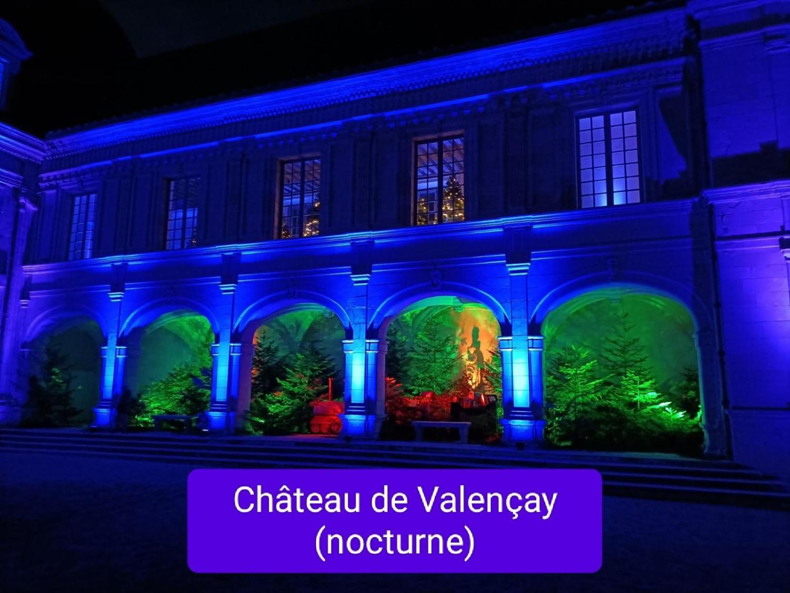 Gite Climatise Villa Esperanza 2 A 5 Personnes Valençay Eksteriør bilde